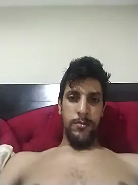 Fayselhot webcam