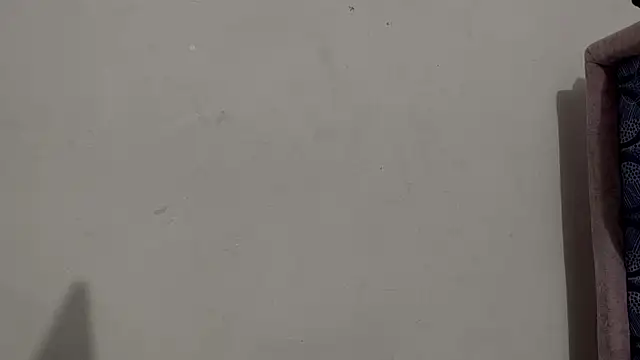 ashleysmithss webcam
