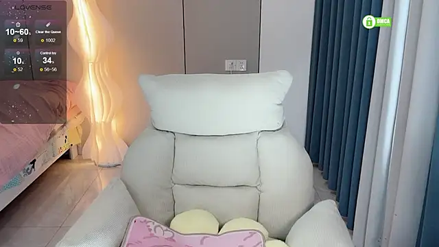 HH-1 webcam