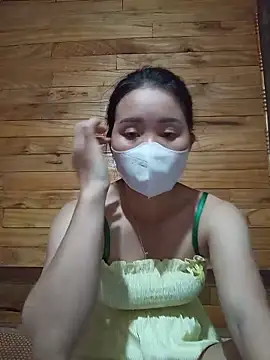Td3di webcam