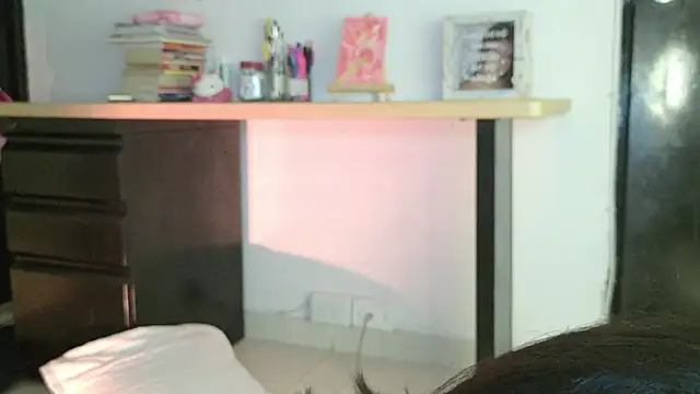 eva_sin18 webcam