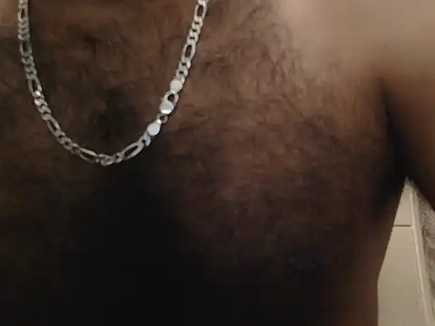 indianhairybull webcam