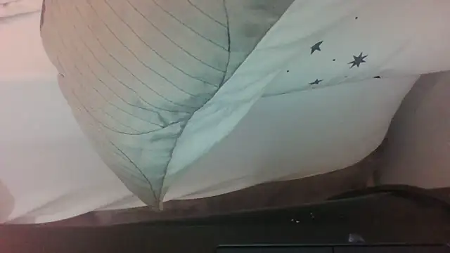 DelayedAnalog720 webcam