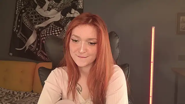 BellaSink webcam