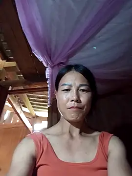 -Numin- webcam