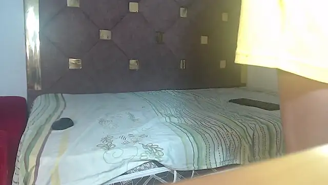 Brendt_Hotx webcam