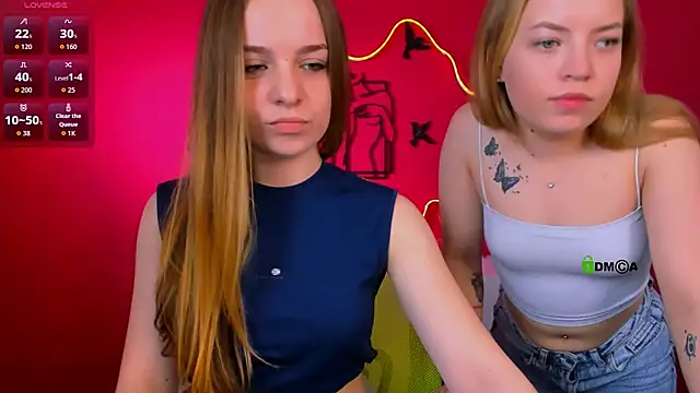 arya_icon webcam