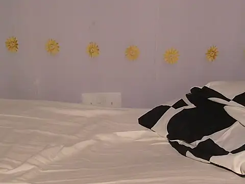 Dic_star webcam