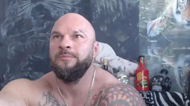 viking_30 webcam