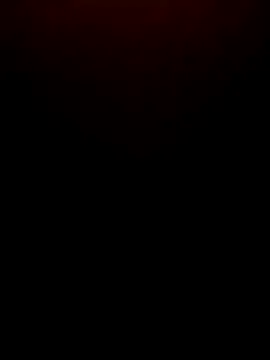Han_Sara webcam