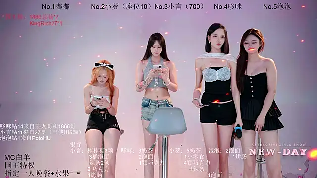 NEW-DAY webcam