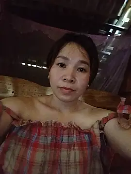 Biva11 webcam