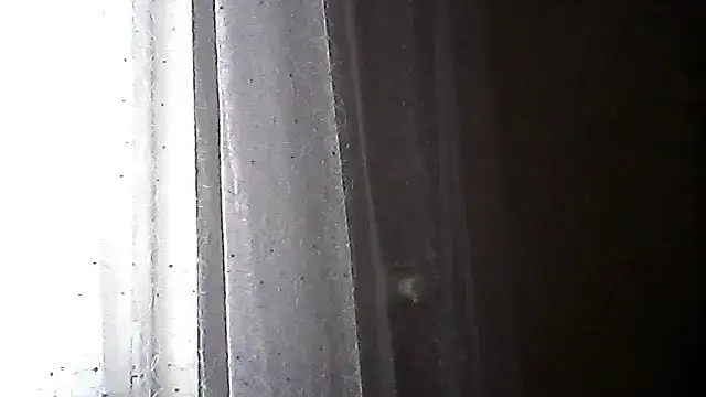 Littlecatme webcam