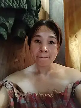 Biva11 webcam