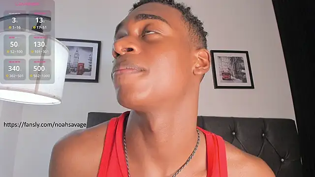 noah_johes webcam