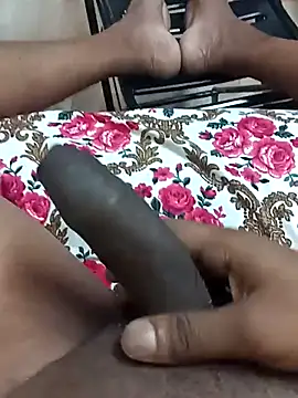 Indianshine webcam