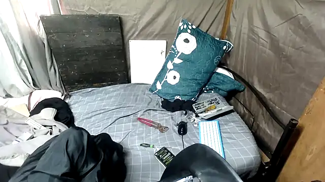 Camodick webcam
