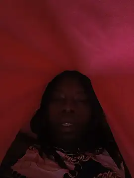 nzanizy webcam