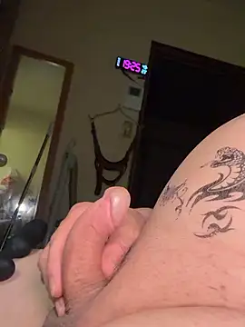 SaneService9 webcam