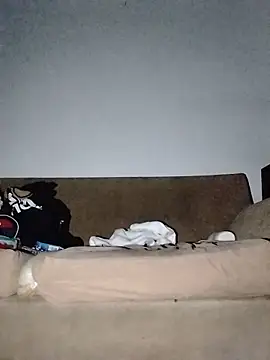 TuCanero23cm webcam