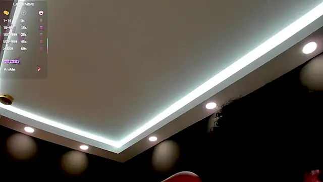laia_fisher_ webcam