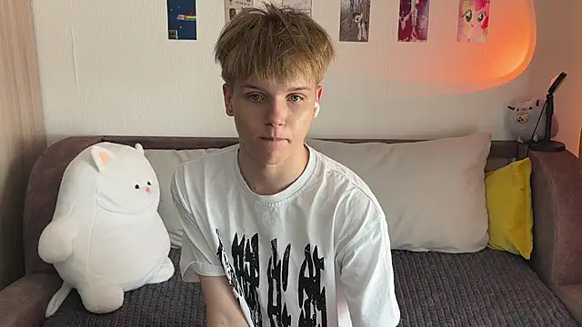 metarion webcam