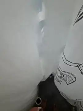 Edu235 webcam