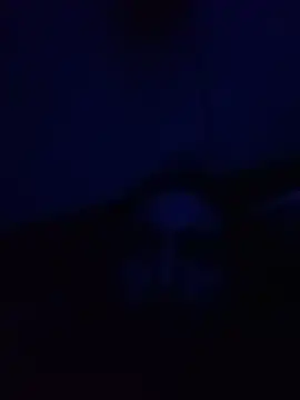 BigRastaFire webcam