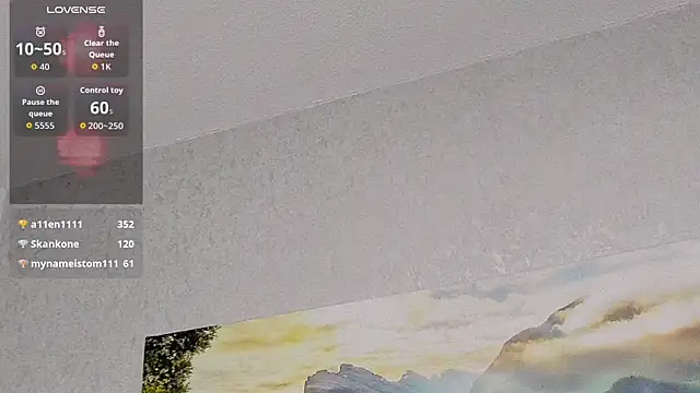Tyler_durten webcam