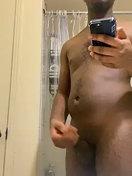 ThickDic28 webcam