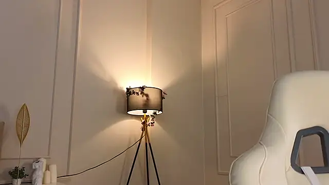 BBabyShark webcam