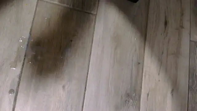 thebigbear75 webcam