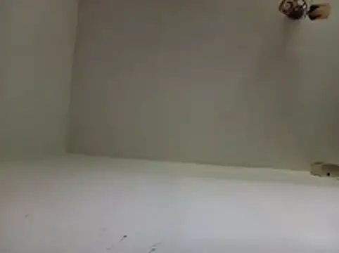 Ingeriubit webcam