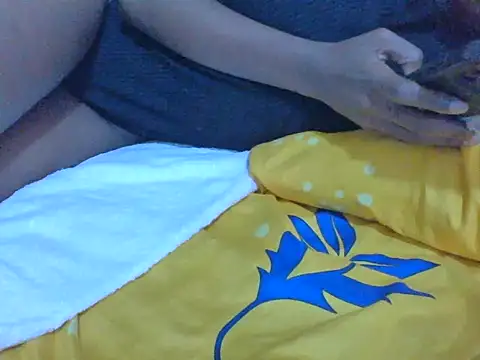 bellskyle webcam