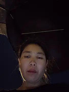 LL-001 webcam