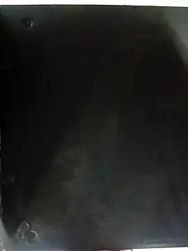 Selena_fox24 webcam