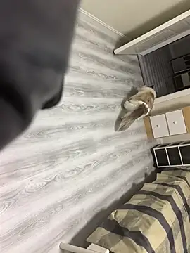 sgjs01dlx webcam