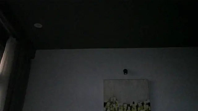 Kleotempt webcam