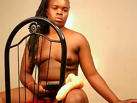 mesh_cutie webcam