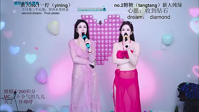 CCTW-100 webcam