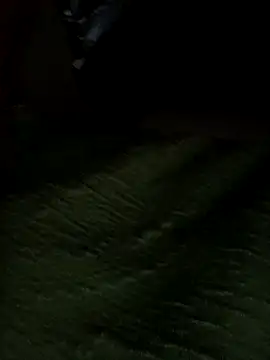 Single_lagunero webcam