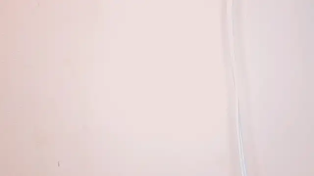 Hanzking01 webcam