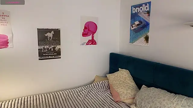 vixinp webcam