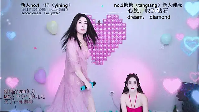 CCTW-100 webcam