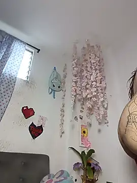 Kuutar webcam