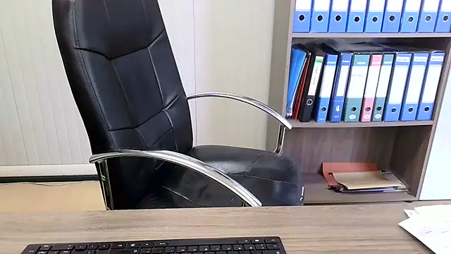 Evasionee webcam