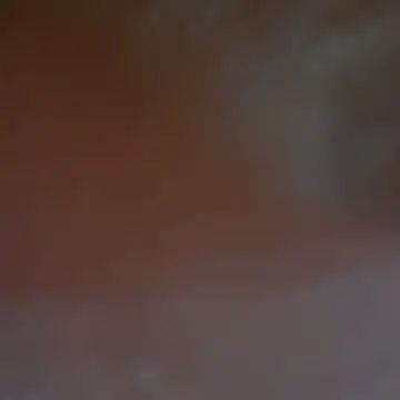 Riya45326 webcam