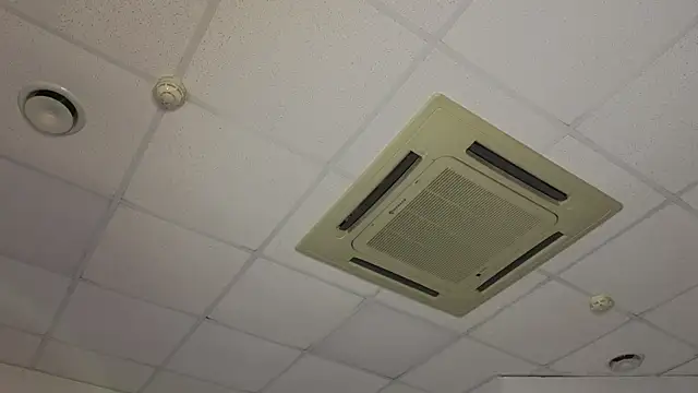 Vlada_vv webcam