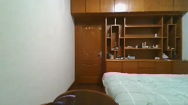 WJ200202 webcam