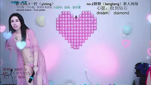 CCTW-100 webcam